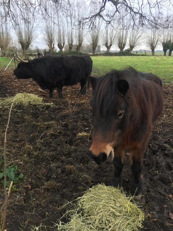 Richebourg  Le Domaine Des Saulesヴィラ エクステリア 写真