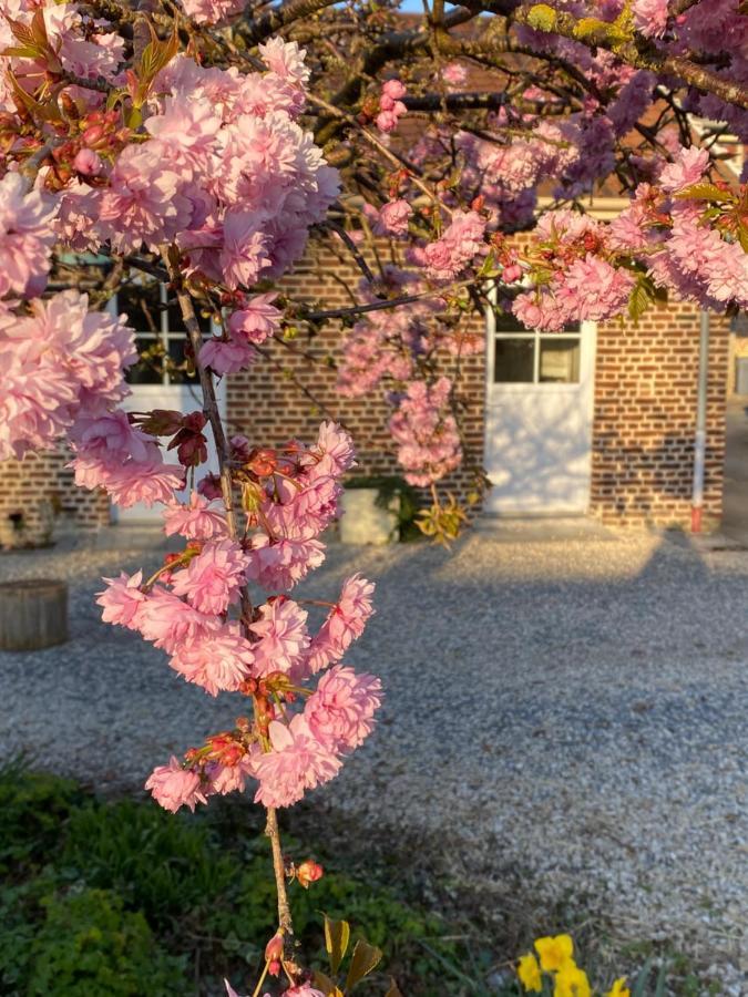 Richebourg  Le Domaine Des Saulesヴィラ エクステリア 写真